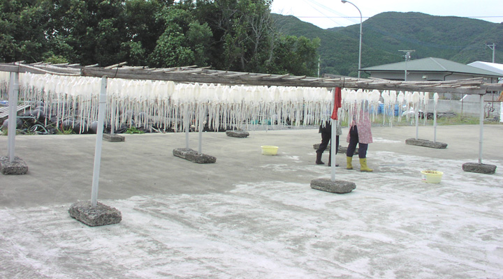 長崎五島列島　山戸海産