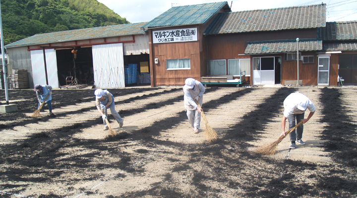 長崎五島列島　山戸海産